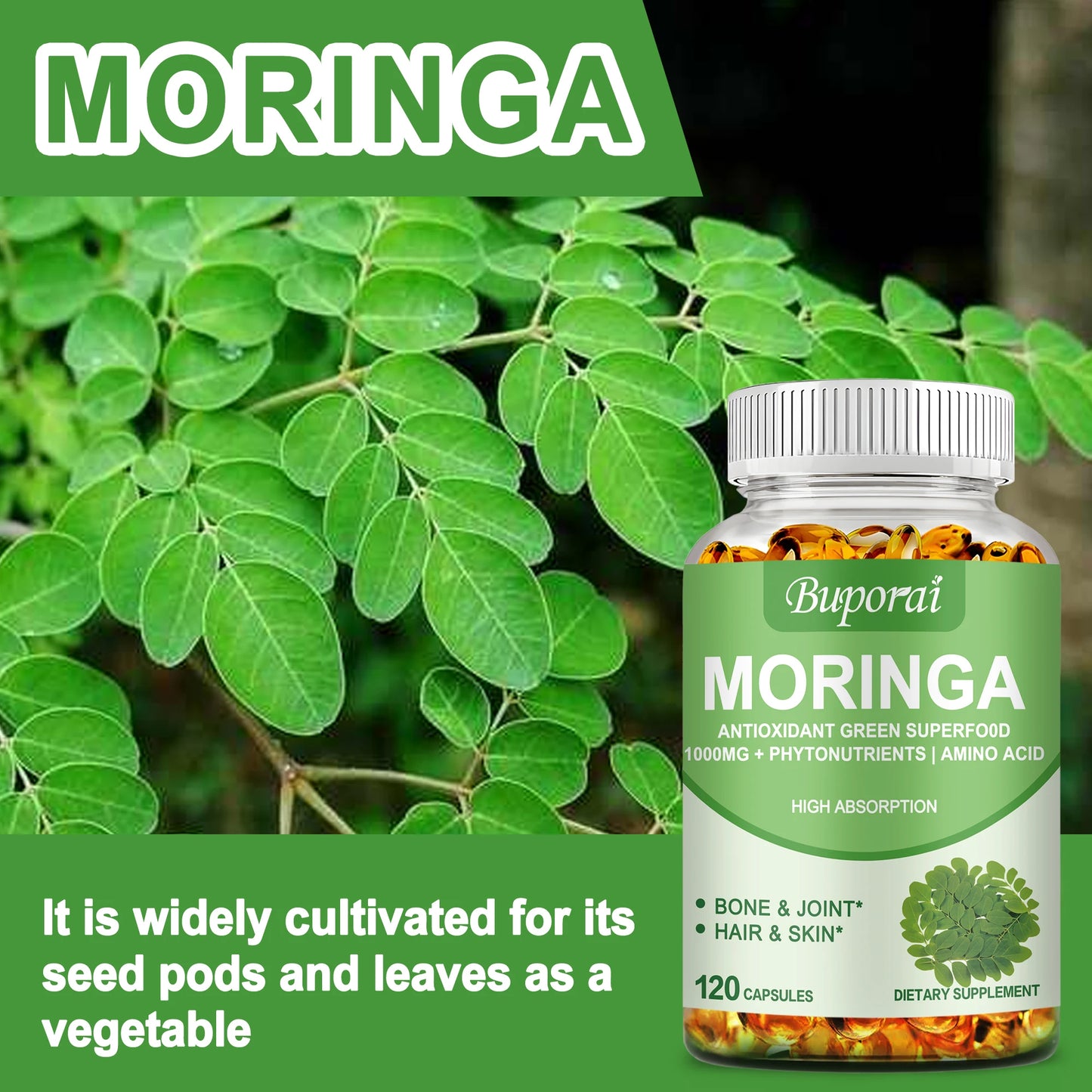 Moringa - Immune System, Energy & Metabolism Natural Anti-inflammatory Helps Detox, Fat Burn - 120 Capsules